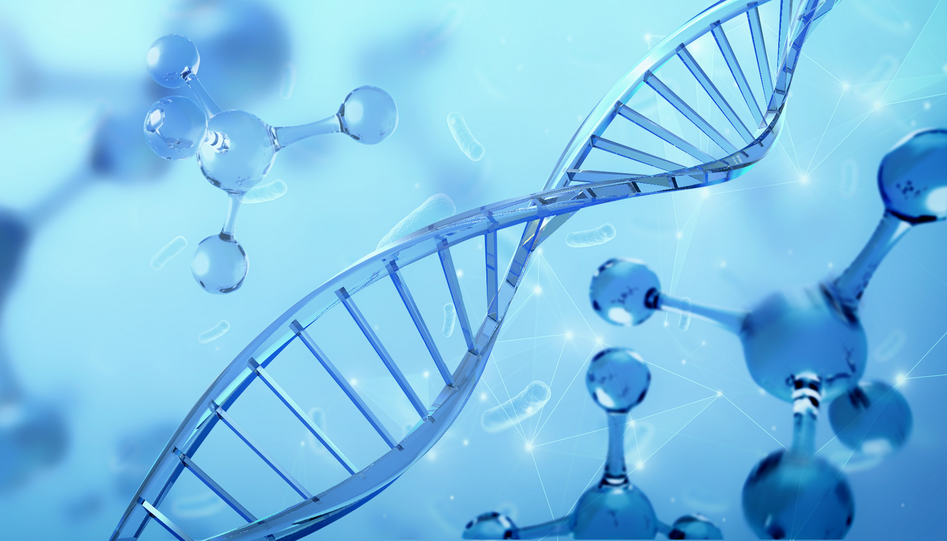 Vangenes Non-Invasive Prenatal Paternity Test